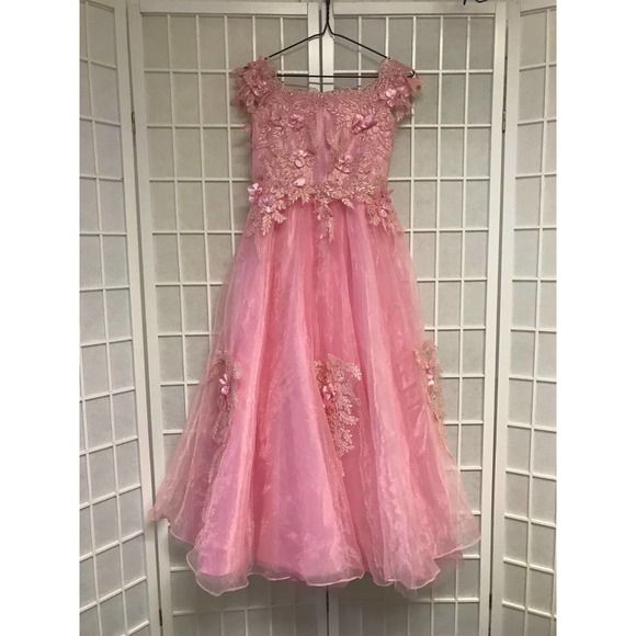 Handmade Pink Lace Gown - Picture 1 of 4